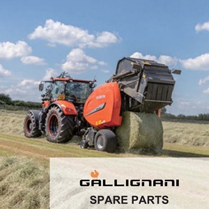 GALLIGNANI - Ersatzteile GALLIGNANI - Ersatzteile